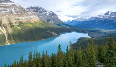 As U.S. fees rise, Canada is opening its national parks for free