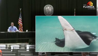 FWC approves new restrictions on giant manta ray captures in Florida after viral video sparks public outcry