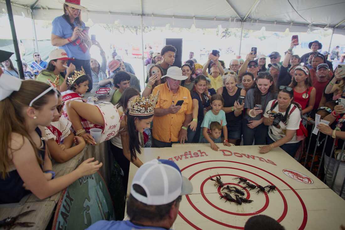 Attendees watch a crawfish race at the Breaux Bridge Crawfish Festival on May 2, 2026.