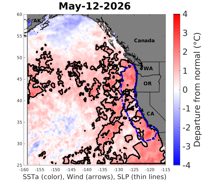 A graphic showing splotches of red indicating a marine heatwave off the U.S. West Coast.