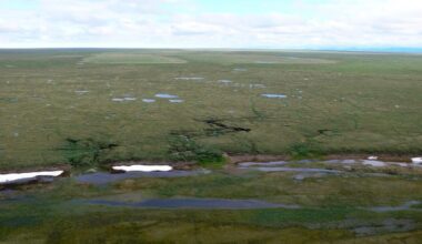 Alaska development agency approves $190 million budget for Arctic refuge oil exploration, leasing