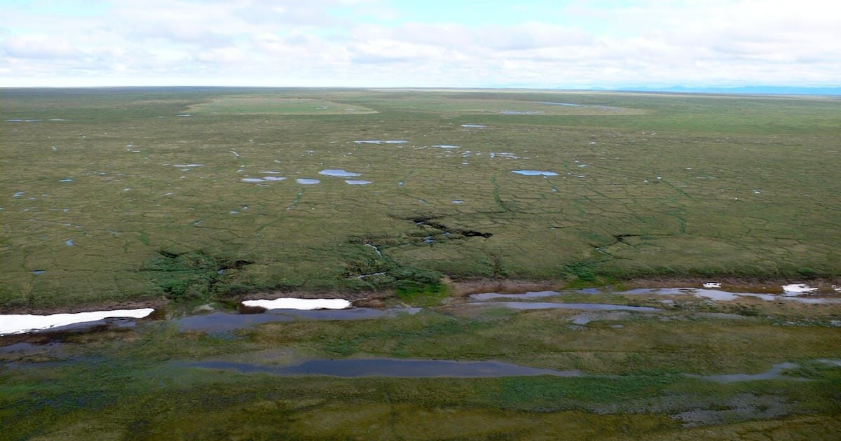 Alaska development agency approves $190 million budget for Arctic refuge oil exploration, leasing