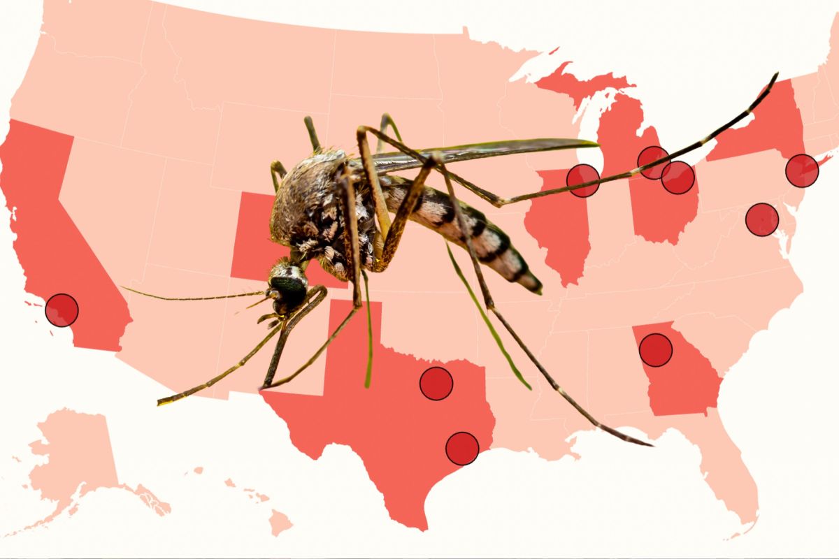 Map Reveals Cities Facing Worst Mosquito Swarms This Summer