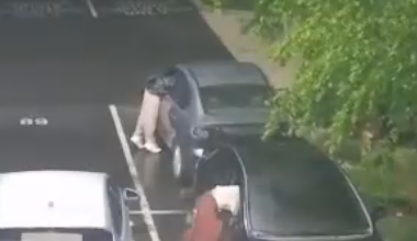 Camera catches crooks break into 14 cars near PLU