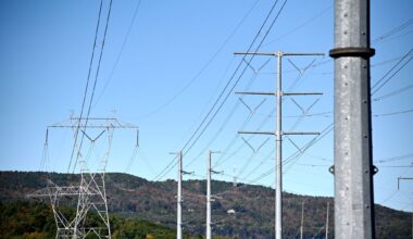 NY bill would permit renewable transmission on some state forest land