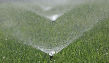 Utah cities, water providers stress water conservation amid drought conditions
