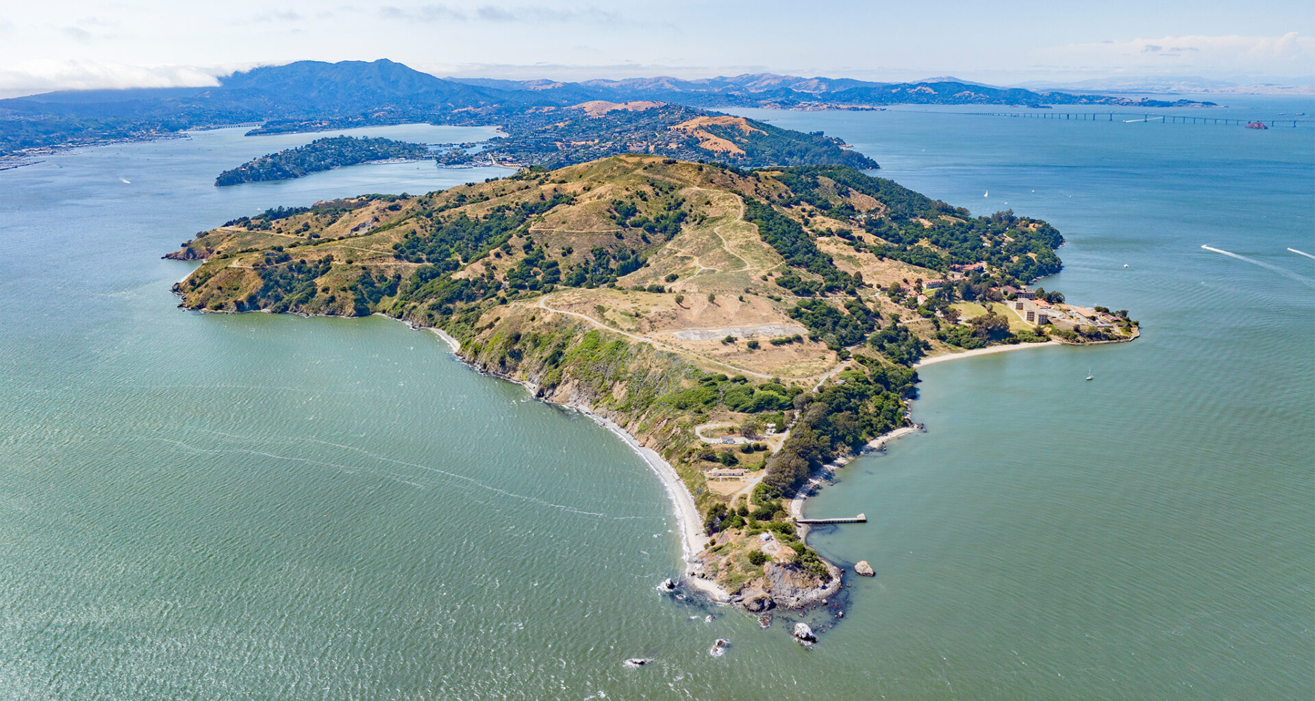 Whales keep dying in San Francisco Bay. Can AI save them?
