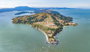 Whales keep dying in San Francisco Bay. Can AI save them?