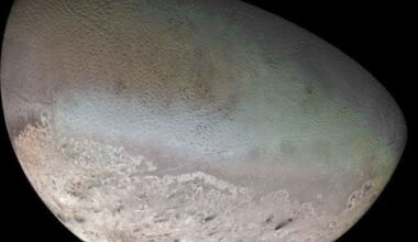 Neptune's odd moon Nereid may be sole survivor from ancient cosmic shake-up