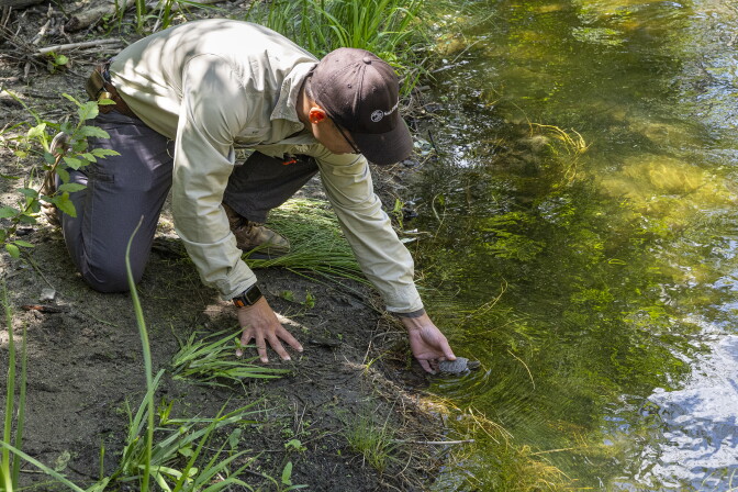 A man wearing a brown baseball cap and khaki long sleeved shirt holds a small turtle at the edge of a pond. 