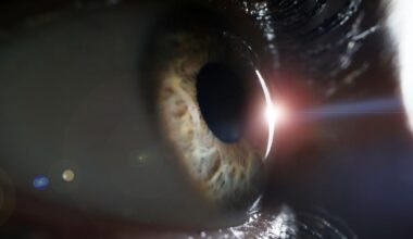 Why Can’t We See Ultraviolet Light? An Evolutionary Biologist Explains