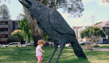 Giant bronze crows stir fear and fascination in SF’s Panhandle