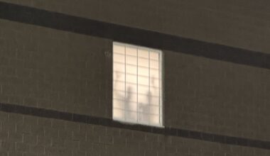 Hunger strike continues at NJ ICE detention center as congressmembers visit