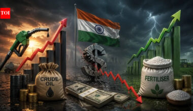 US-Iran war impact on India: FM Sitharaman stresses on 3Fs - fuel, fertilisers & forex; here’s why