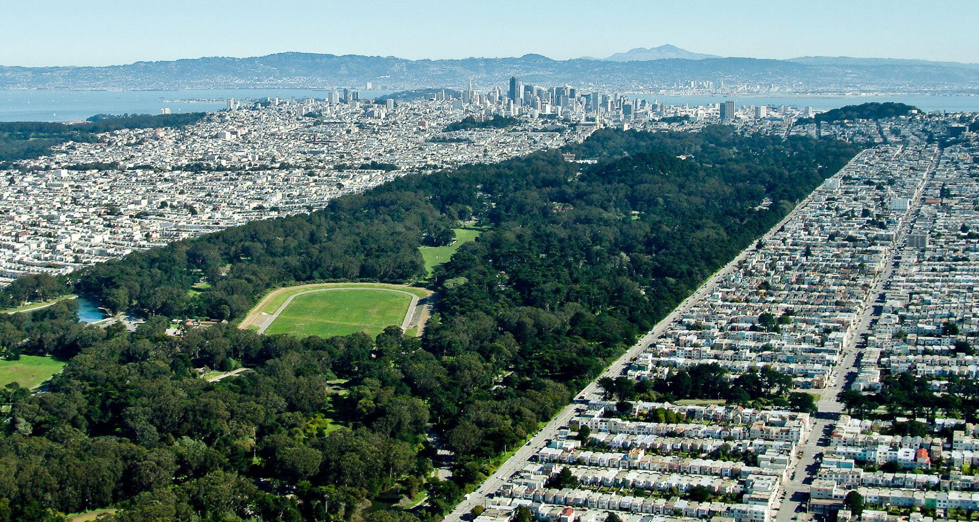 Rare animal photographed in Golden Gate Park pond: 'Total shock'