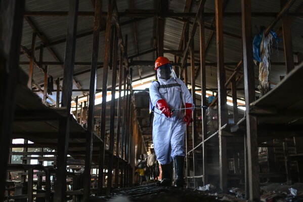A sanitation worker from the Bunia city government sprays chlorine to disinfect the central market, as Ituri province continues to combat an Ebola outbreak, in Bunia, Congo, Saturday, May 23, 2026. (AP Photo/Moses Sawasawa)