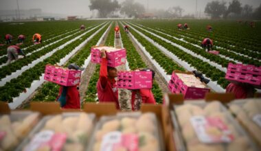 Another wave of inflation is headed for grocery stores