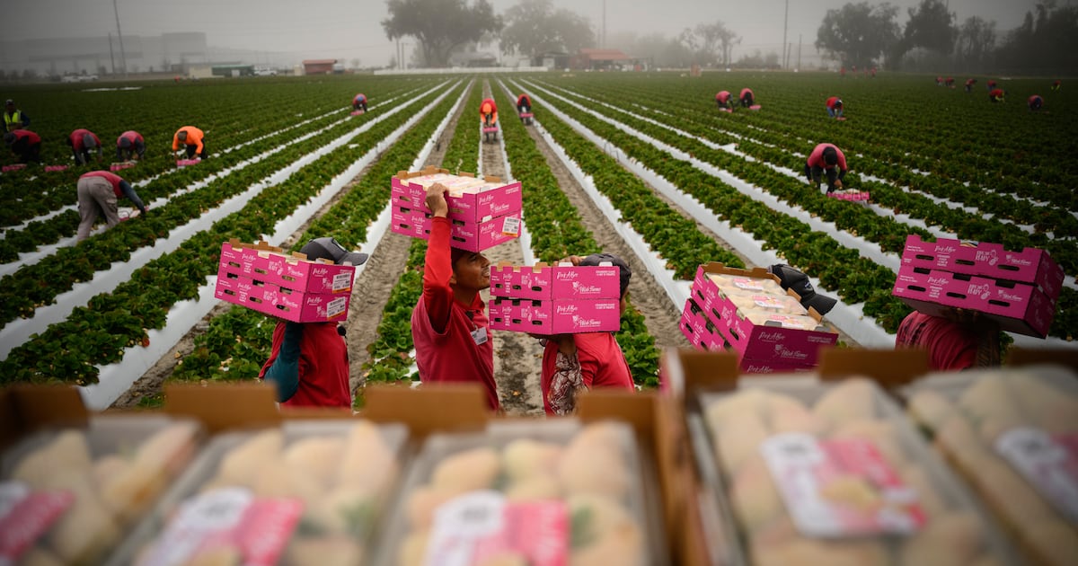 Another wave of inflation is headed for grocery stores