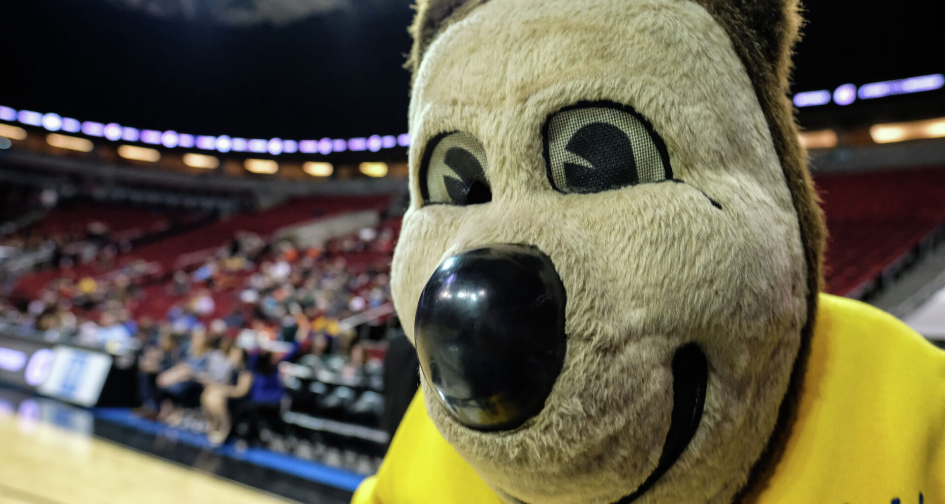 5 Cal grads just blew up Oski's fiercely guarded secret identity