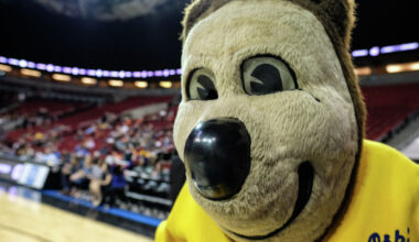 5 Cal grads just blew up Oski's fiercely guarded secret identity
