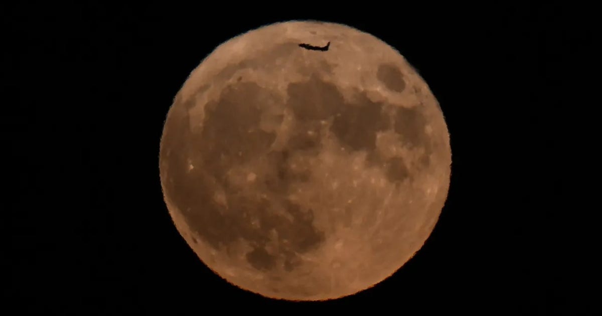 Look up: Rare Blue Moon and 4 planets will shine across the sky at the end of May