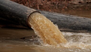 Fuel and Sewage Leaks Have Made the Potomac One of America’s Most Endangered Rivers – Mother Jones