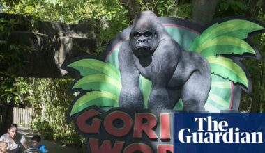 ‘True patriot’: White House pays bizarre tribute to Harambe 10 years after gorilla’s death | Trump administration