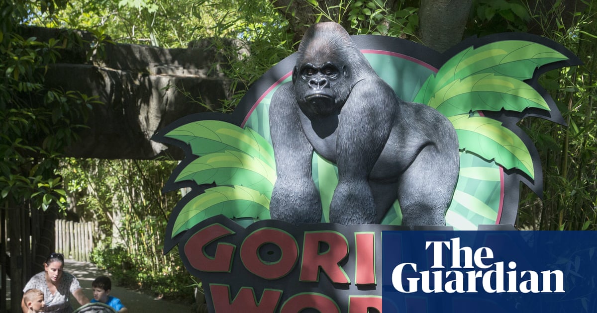 ‘True patriot’: White House pays bizarre tribute to Harambe 10 years after gorilla’s death | Trump administration