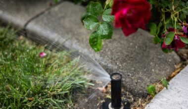 Poll: Utahns are more worried than ever about water – Deseret News