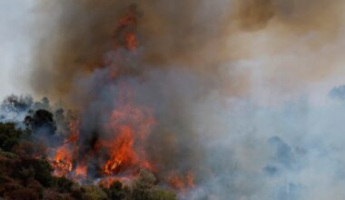 US Wildfire Risk Map Shows Areas Most at Risk This Summer