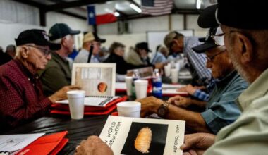 Flesh-eating screwworm found within 31 miles of US border, says USDA