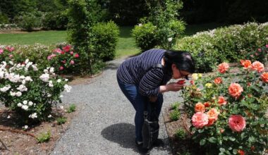 Allergy seasons merge on Long Island causing 'double whammy'