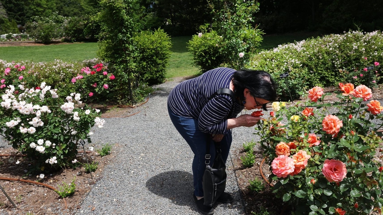 Allergy seasons merge on Long Island causing 'double whammy'