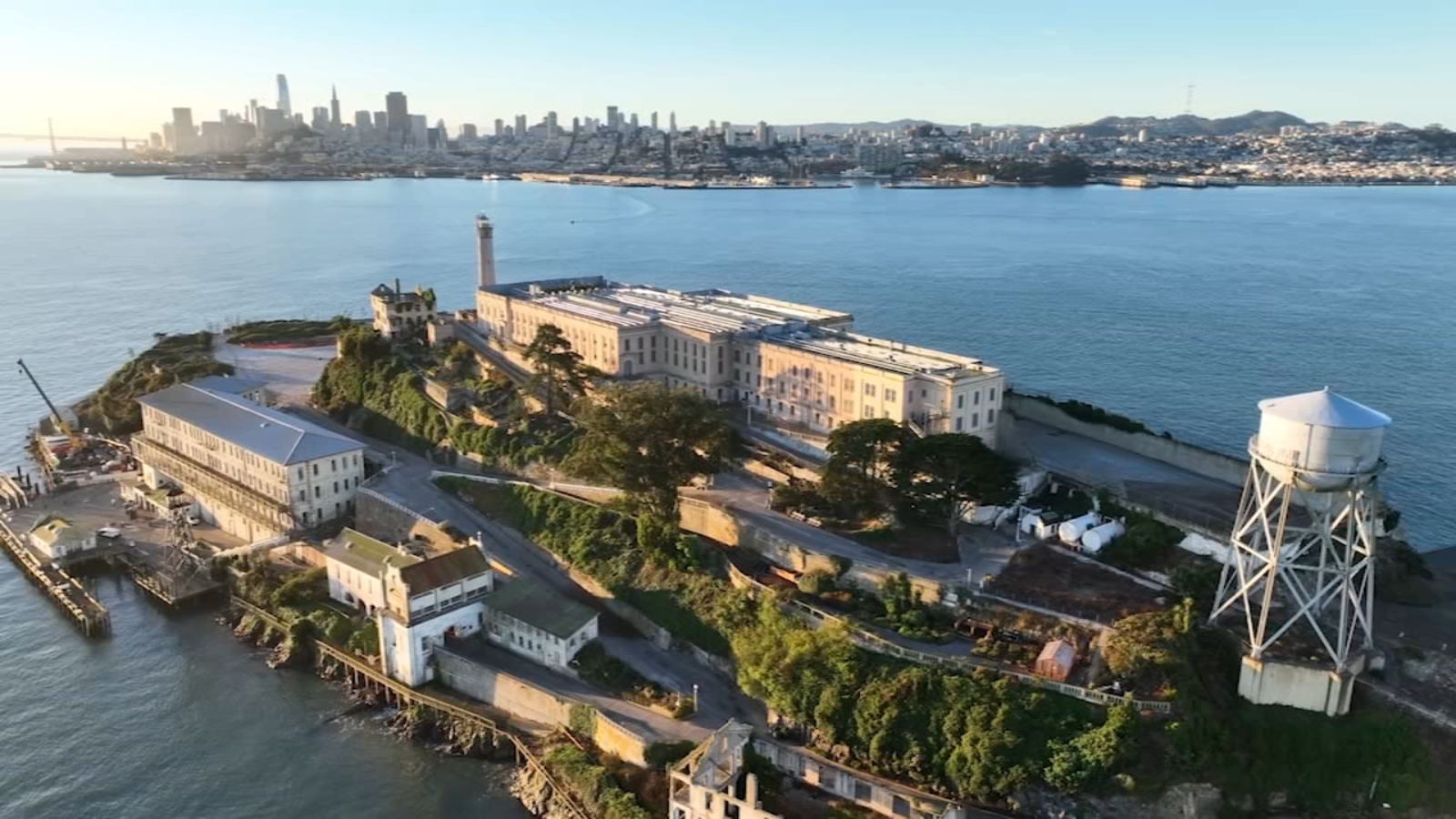 Male coyote swam 2 miles to Alcatraz Island, twice as far as biologists had expected