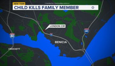 Child fatally shoots family member in self defense at Benicia home on London Circle in domestic violence incident, police say