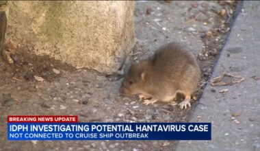 Is hantavirus in Illinois in 2026? IDPH investigating potential case in Winnebago County, IL not linked to cruise ship outbreak