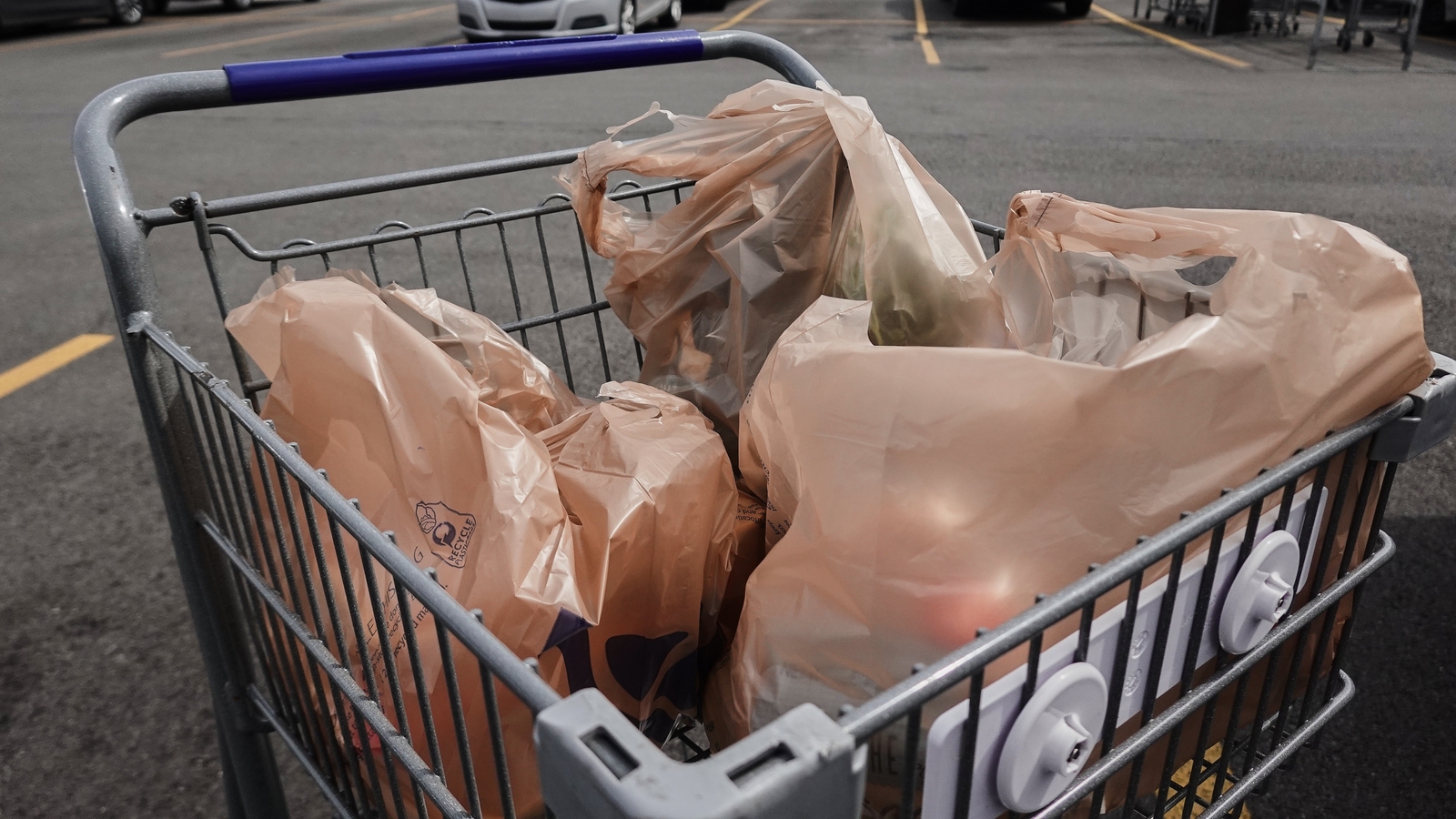 Plastic bags don't go in the recycling bin. What should you do instead?