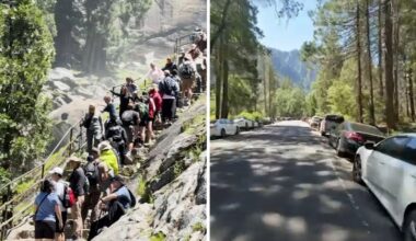Yosemite National Park's reservation system ends, leading to 'chaos' in park over Memorial Day weekend