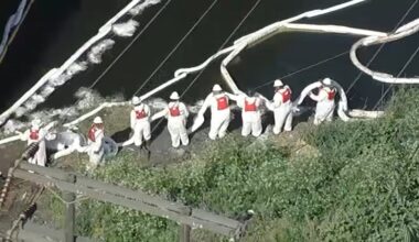 Cleanup continues after 2,400 gallons of crude oil spill and spread into LA River, impacting wildlife