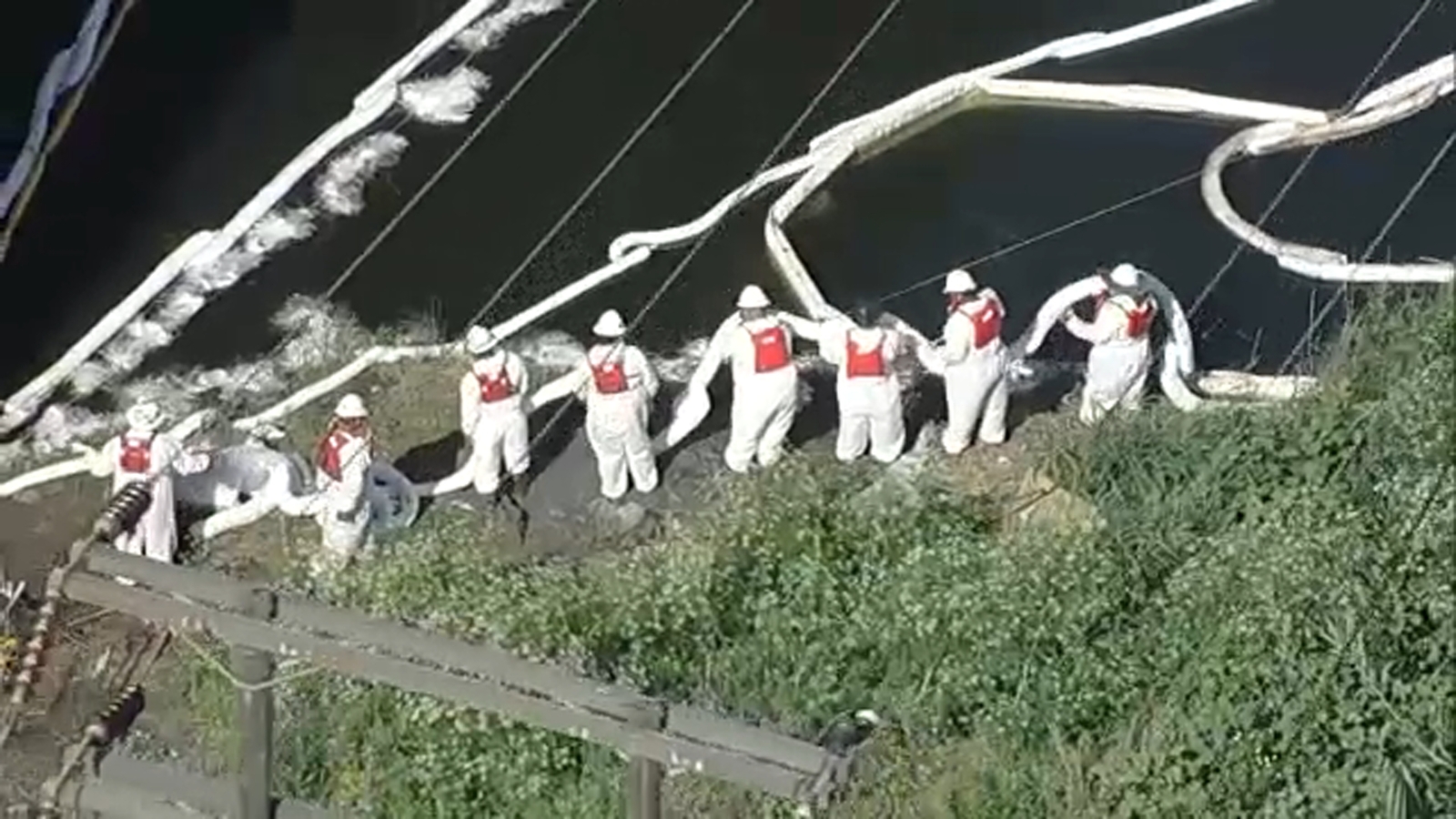 Cleanup continues after 2,400 gallons of crude oil spill and spread into LA River, impacting wildlife