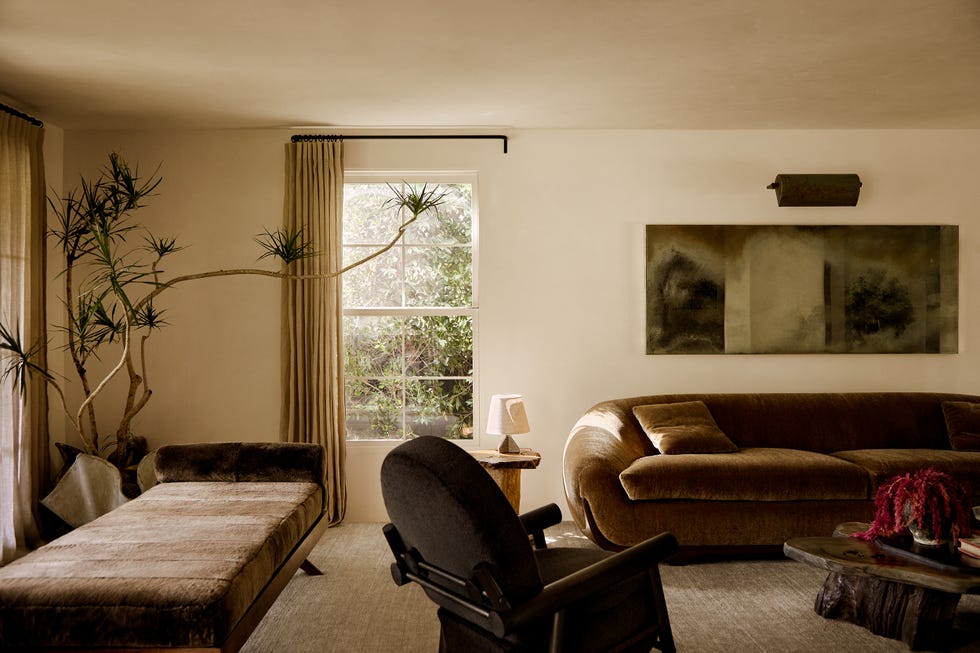Cozy living room with modern furnishings and plants.