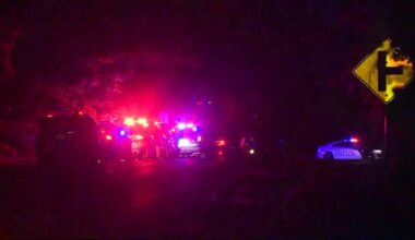 At least 10 injured in shooting at Arcadia Lake: What we know