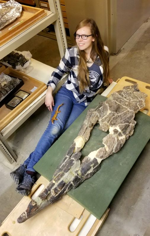 Fearsome dinosaur-era marine reptile was the T. rex of the sea
