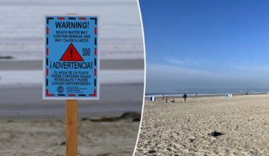 Dreaded 'poonami' from Mexico risks shuttering US beach hub
