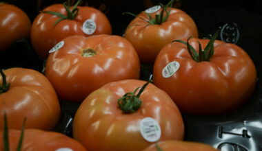 U.S. Government imposes 17% tariff on Mexican fresh tomatoes