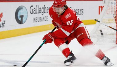 What is the Red Wings’ future (and present) at second-line center?