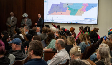 Demonstrators gather outside the Tennessee state capital building to protest edistricting