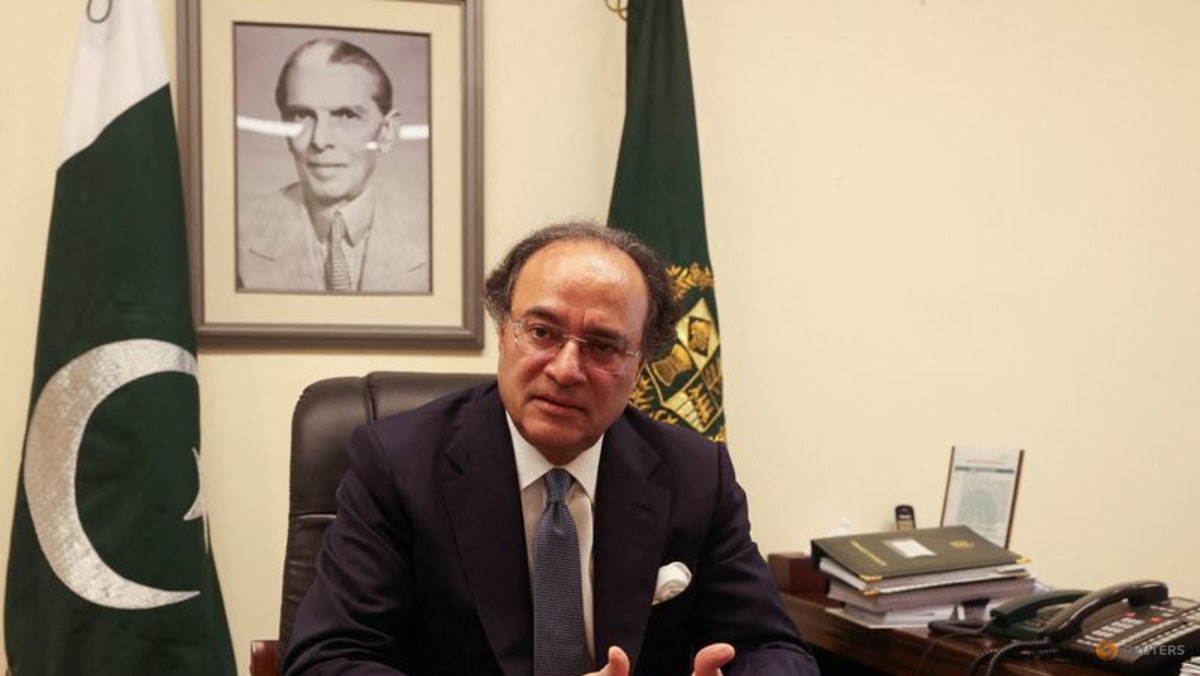 Pakistan to issue first 'Panda bond' next week, finance minister says