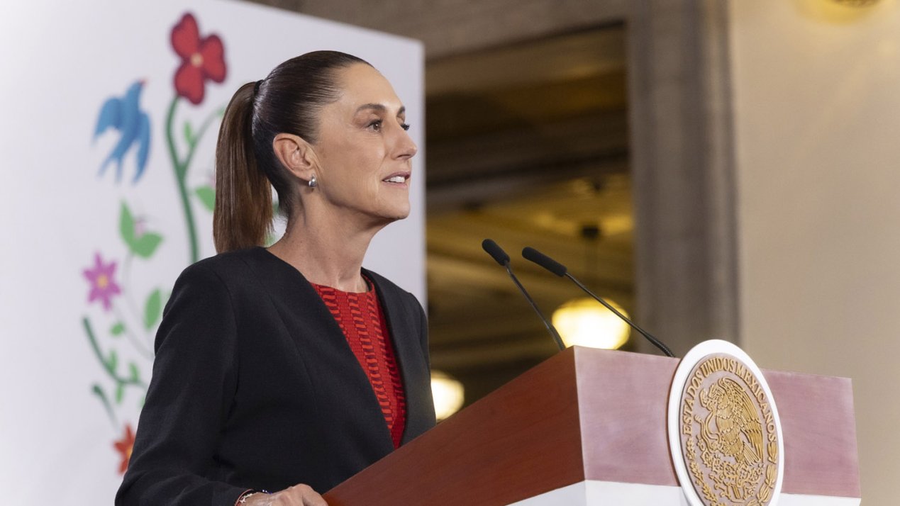 Electoral Reform / Mexico’s New Ambassador to the United States