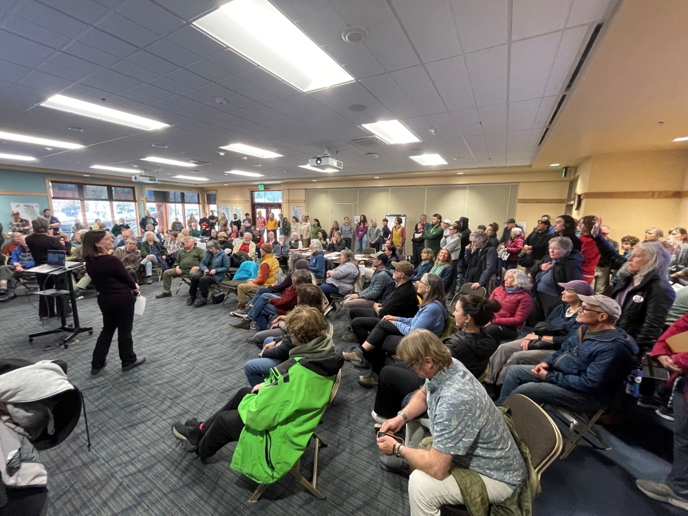 'It's important to us': Sitkans turn out to share thoughts on draft Tongass plan docs